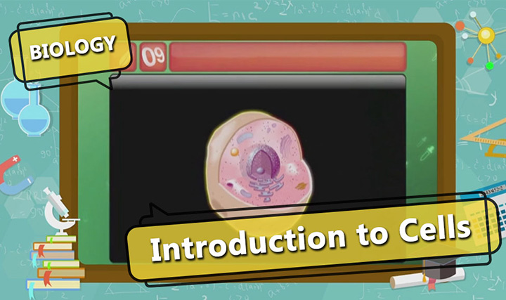 ICSE Class 9-Cell - Introduction